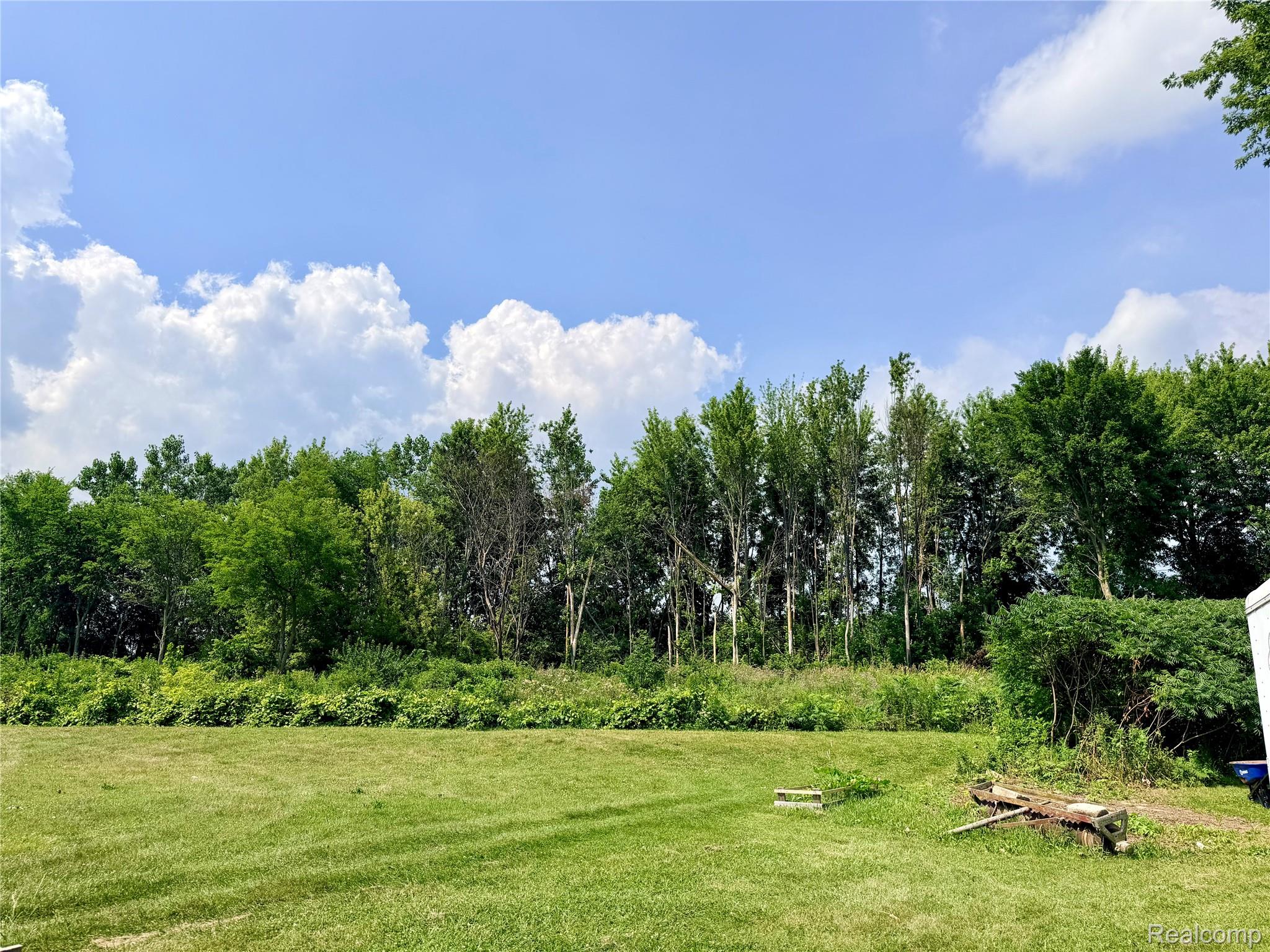 3840 East Dunbar Road Monroe, MI 48161 - Photo 36 of 38 Expansive grassy lawn bordered by mature trees and lush foliage