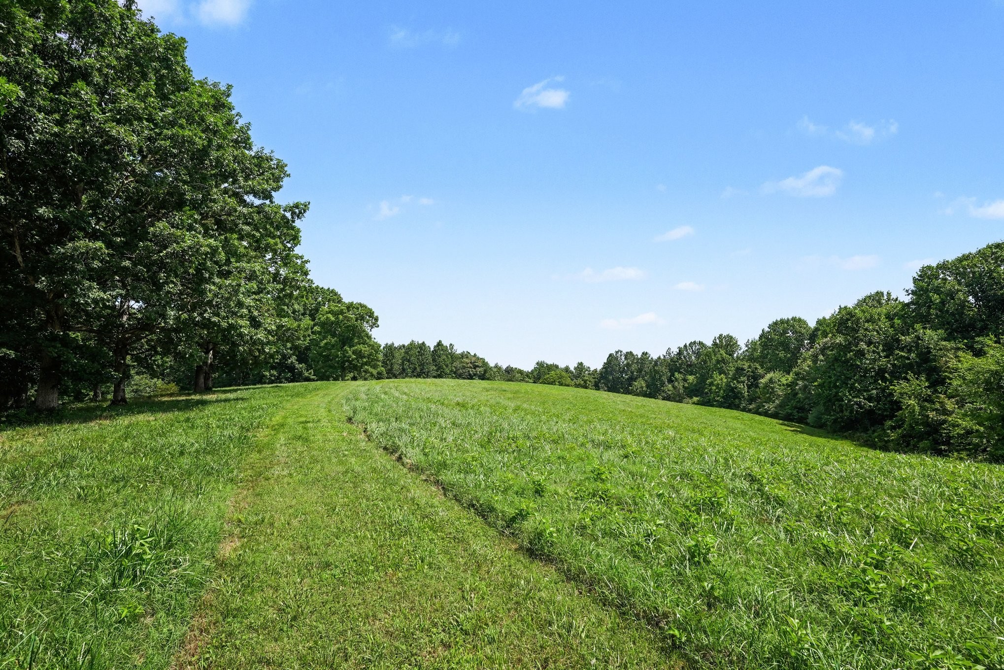 609 Stacy Road White Bluff, TN 37187 - Photo 30 of 36