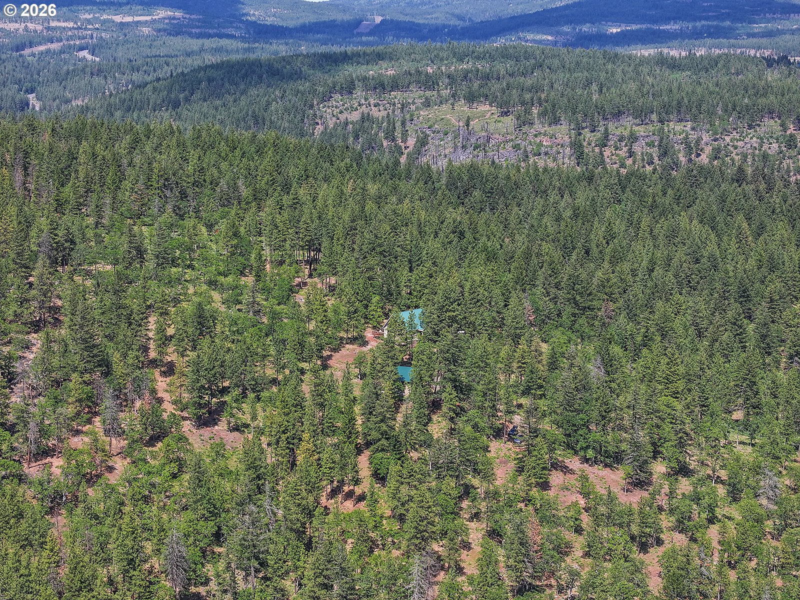Thompson Trail Goldendale, WA 98620 - Photo 6 of 15 a view of a lush green forest with trees and houses