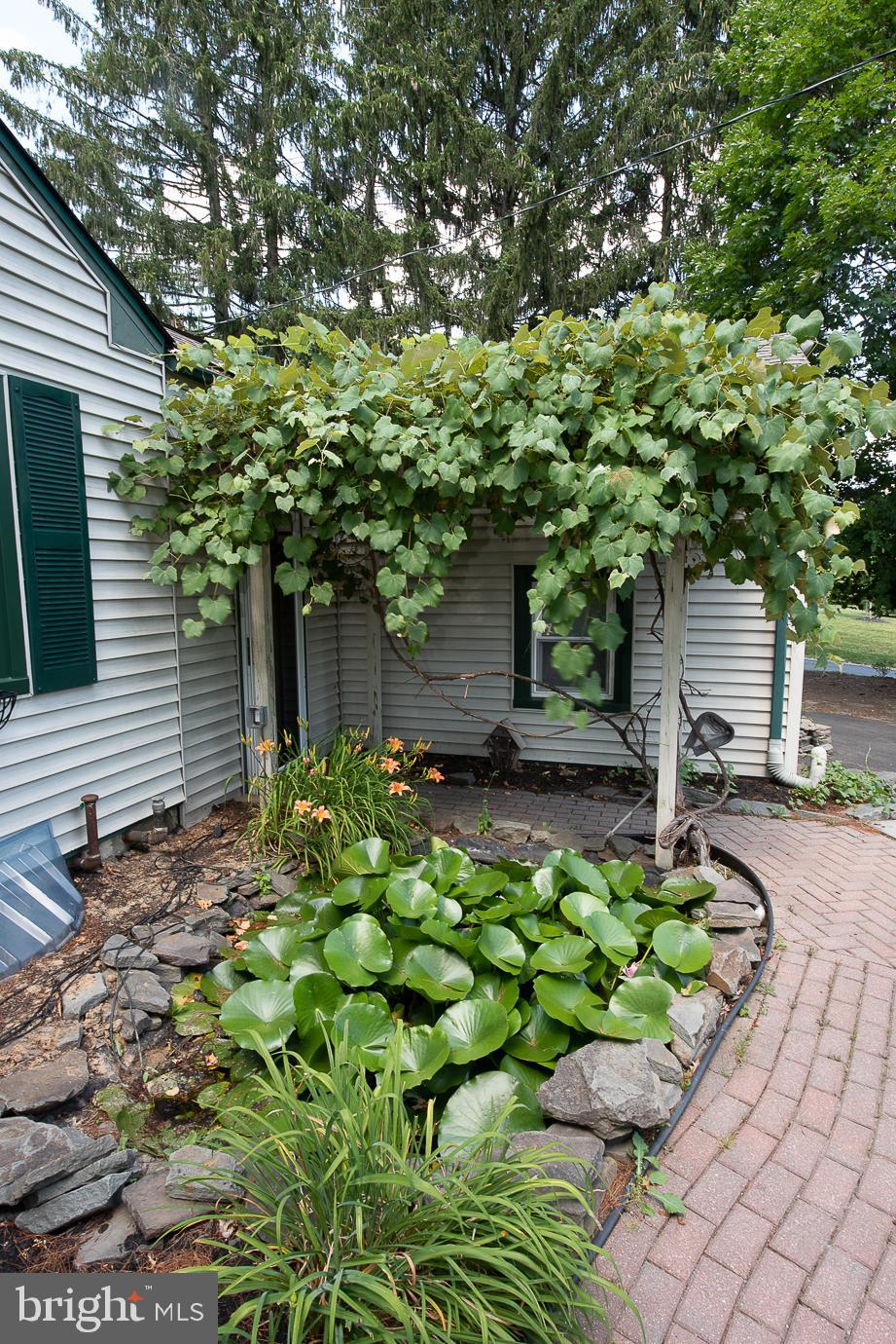 458 Edison Furlong Road Doylestown, PA 18901 - Photo 43 of 43 Lush Landscape includes a Trellis