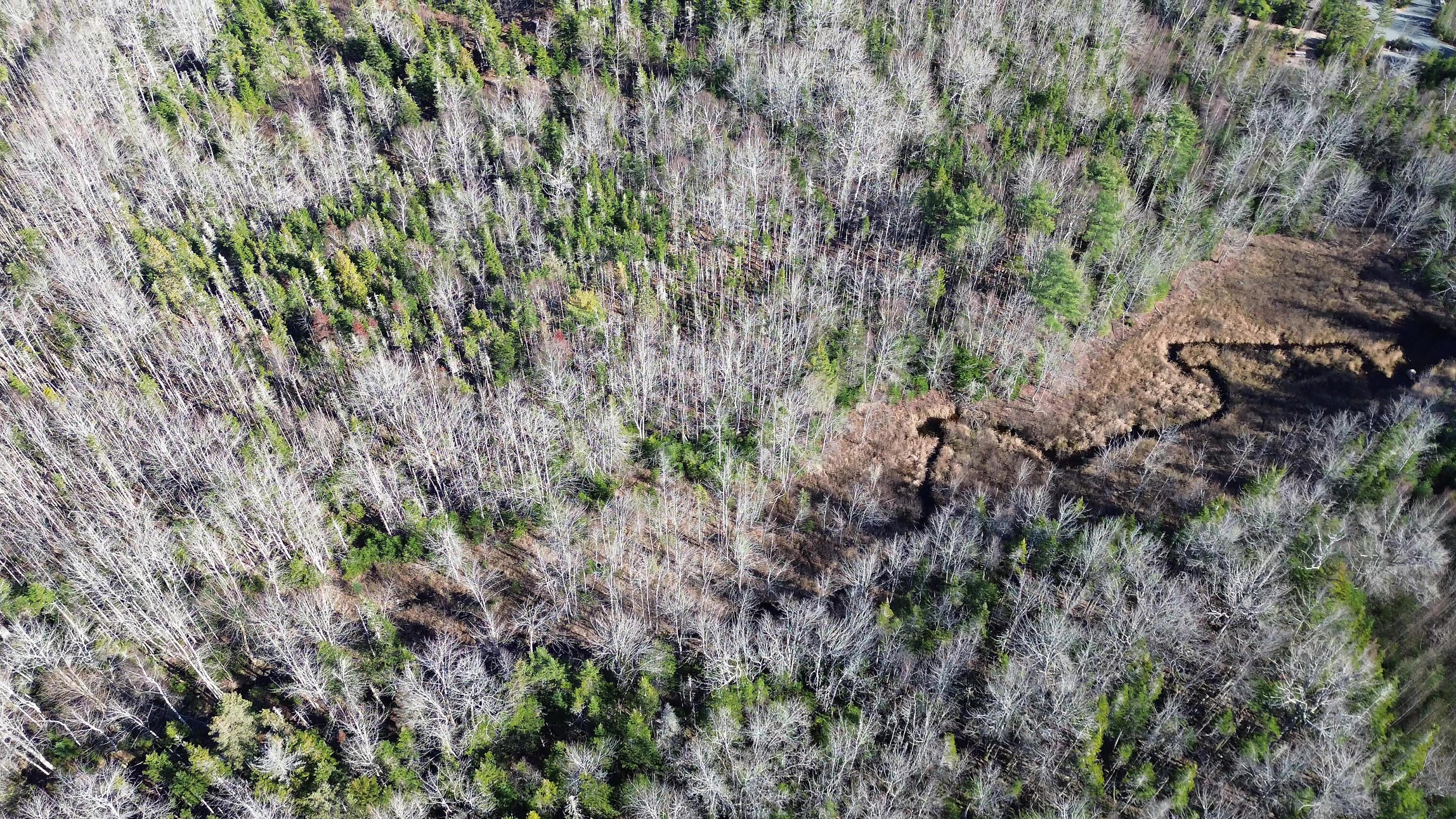 33 Lots 9 And 11 Bar Harbor Road Trenton, ME 04605 - Photo 9 of 26 8