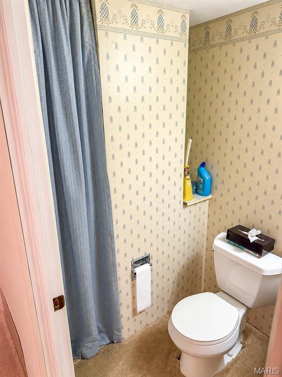 2049 Mullins Creek Road Dupo, IL 62239 - Photo 30 of 61