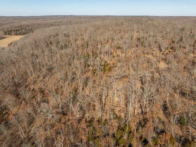 $985,000 | 0 Southeast J Highway, Collins, MO 64738