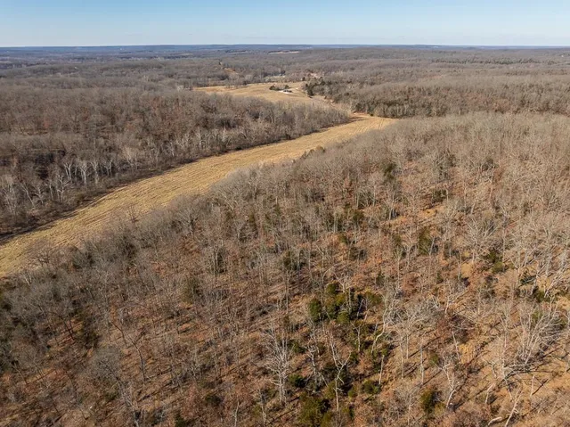 $985,000 | 0 Southeast J Highway, Collins, MO 64738