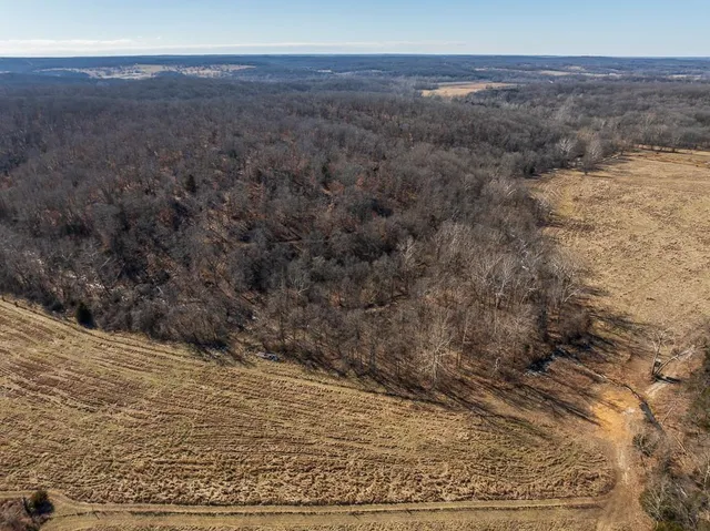 $985,000 | 0 Southeast J Highway, Collins, MO 64738