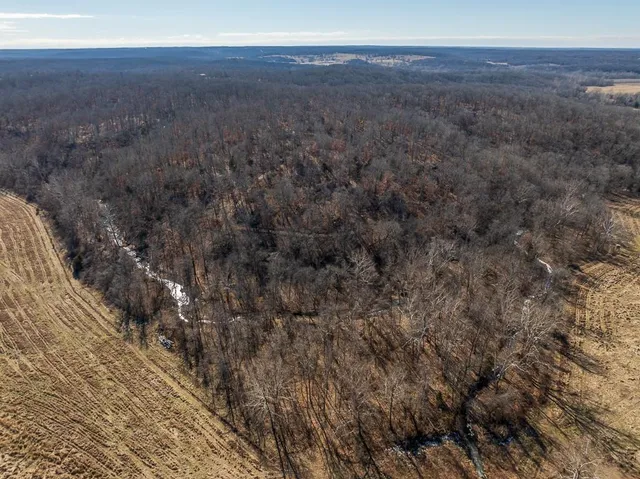 $985,000 | 0 Southeast J Highway, Collins, MO 64738