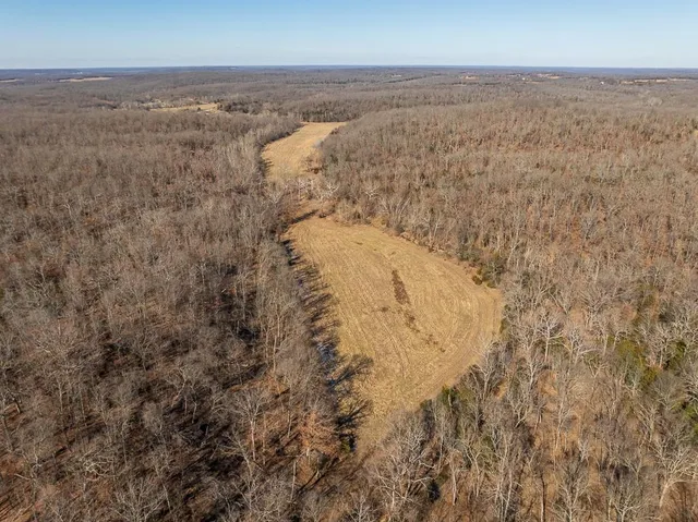 $985,000 | 0 Southeast J Highway, Collins, MO 64738