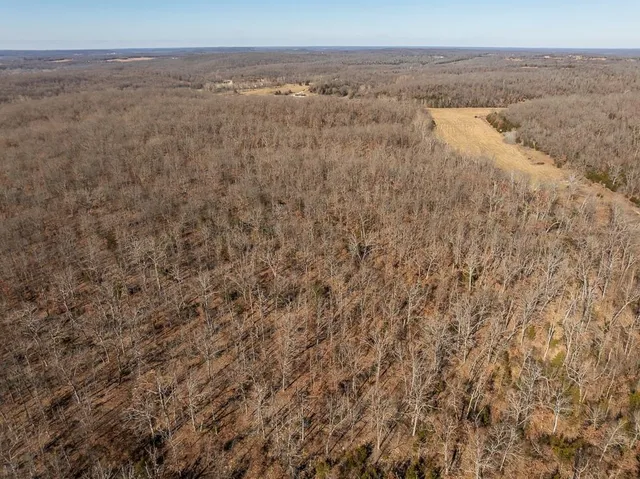 $985,000 | 0 Southeast J Highway, Collins, MO 64738