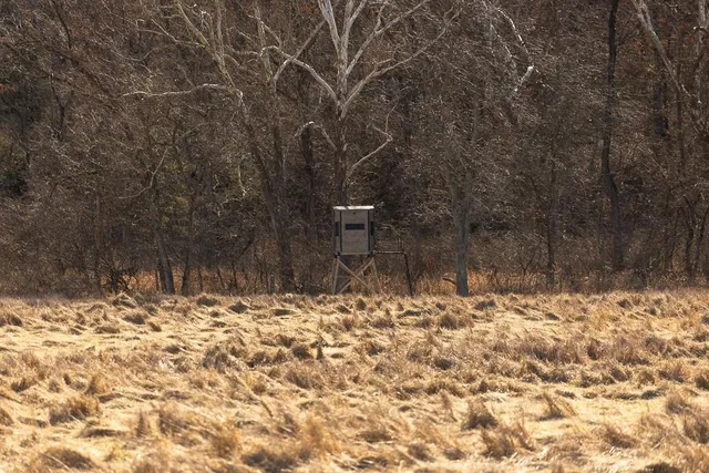 $985,000 | 0 Southeast J Highway, Collins, MO 64738