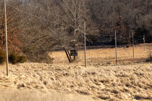 $985,000 | 0 Southeast J Highway, Collins, MO 64738