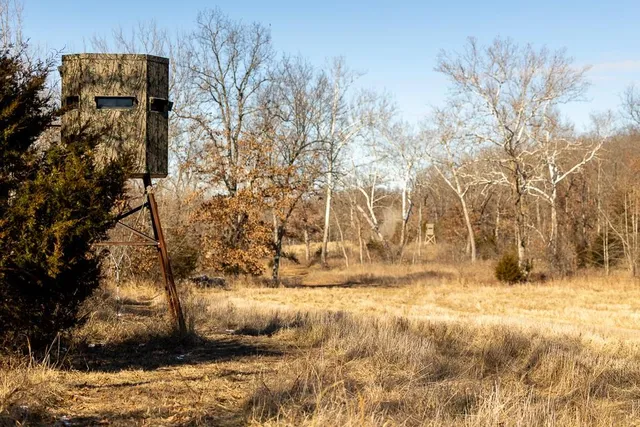 $985,000 | 0 Southeast J Highway, Collins, MO 64738