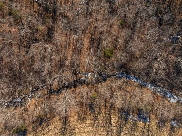 $985,000 | 0 Southeast J Highway, Collins, MO 64738