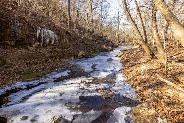 $985,000 | 0 Southeast J Highway, Collins, MO 64738