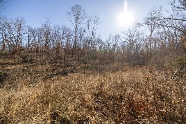 $985,000 | 0 Southeast J Highway, Collins, MO 64738