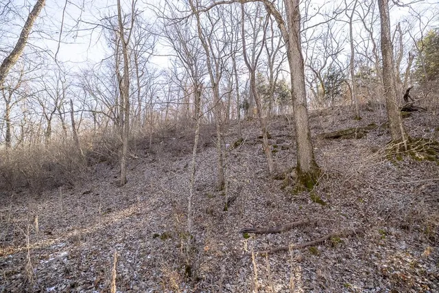 $985,000 | 0 Southeast J Highway, Collins, MO 64738