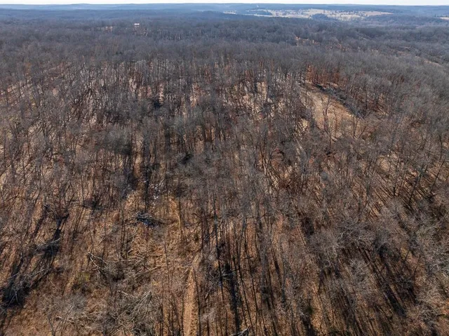 $985,000 | 0 Southeast J Highway, Collins, MO 64738