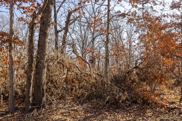 $985,000 | 0 Southeast J Highway, Collins, MO 64738