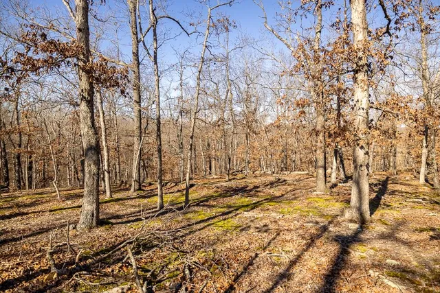 $985,000 | 0 Southeast J Highway, Collins, MO 64738