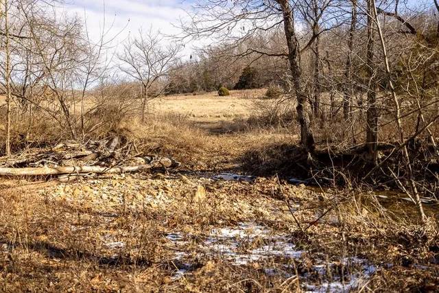 $985,000 | 0 Southeast J Highway, Collins, MO 64738