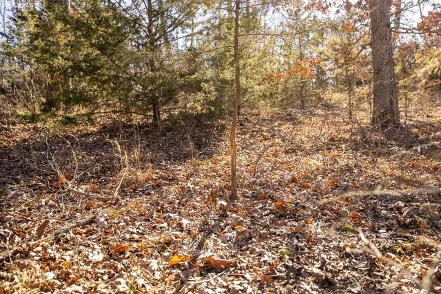 $985,000 | 0 Southeast J Highway, Collins, MO 64738