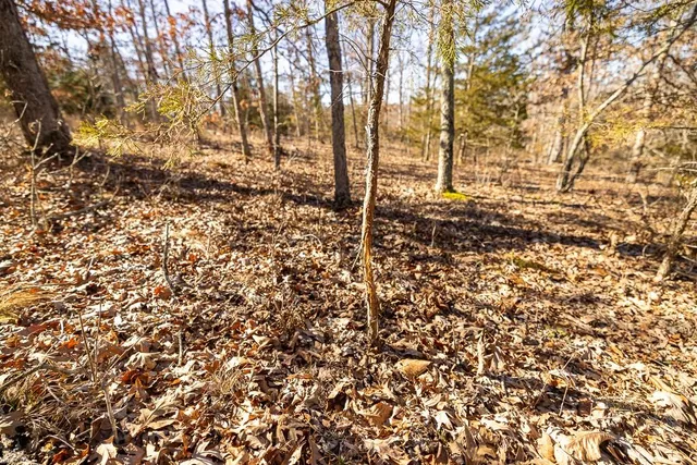 $985,000 | 0 Southeast J Highway, Collins, MO 64738