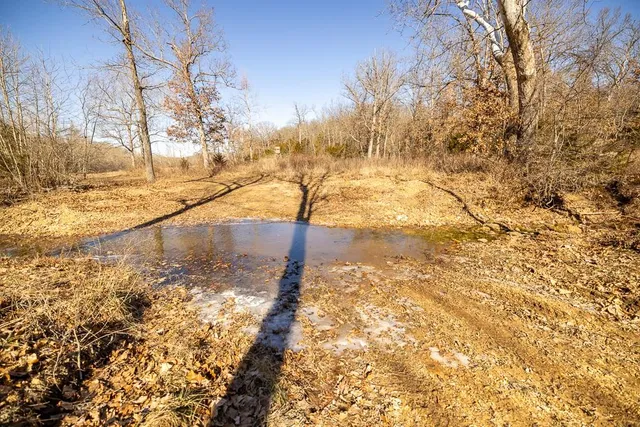 $985,000 | 0 Southeast J Highway, Collins, MO 64738