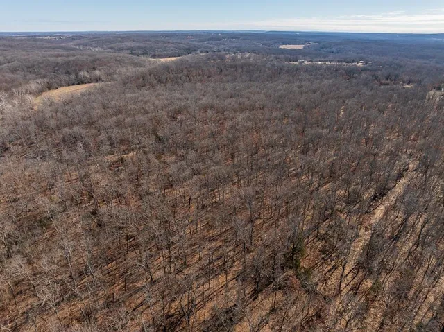 $985,000 | 0 Southeast J Highway, Collins, MO 64738