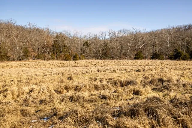 $985,000 | 0 Southeast J Highway, Collins, MO 64738