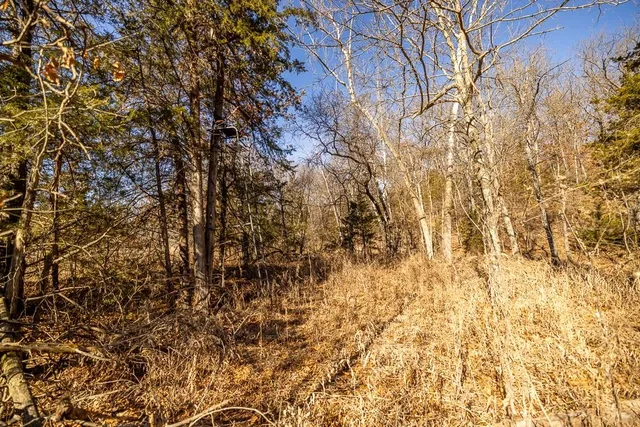 $985,000 | 0 Southeast J Highway, Collins, MO 64738