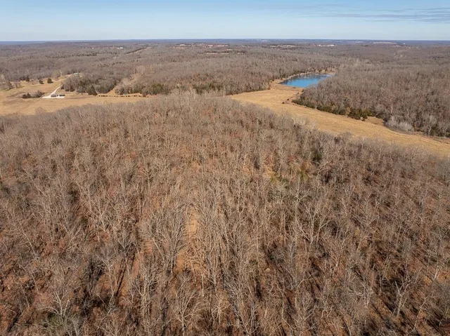 $985,000 | 0 Southeast J Highway, Collins, MO 64738