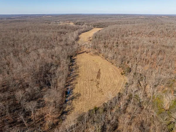 $935,000 | 0 Southeast J Highway, Collins, MO 64738