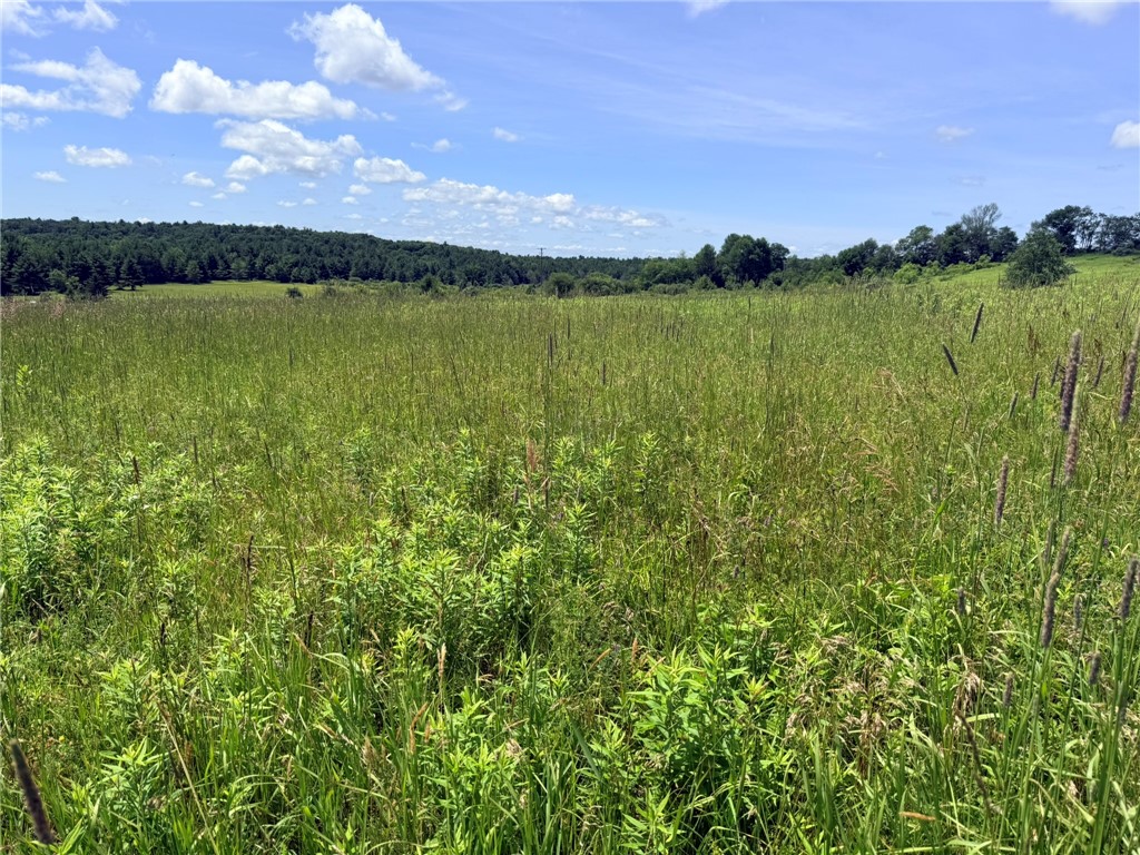 L19 North Pond Road Guilford, NY 13780 - Photo 5 of 19