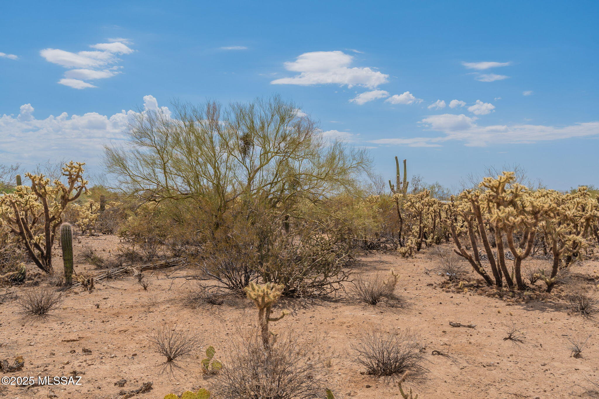 Tbd North Tbd N Van Ark Road Tucson, AZ 85743 - Photo 11 of 25