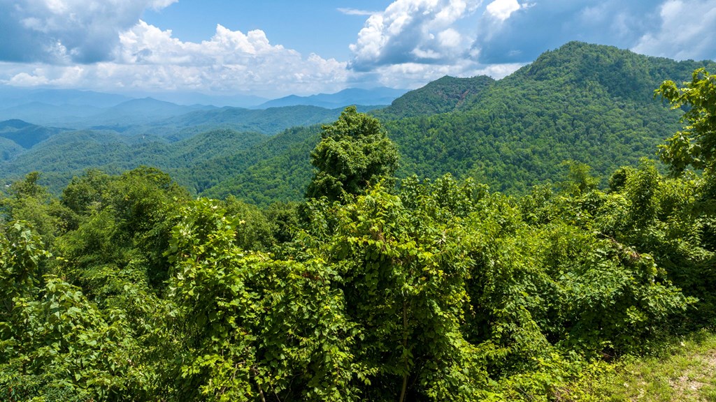 235 Rios Drive Bryson City, NC 28713 - Photo 26 of 29