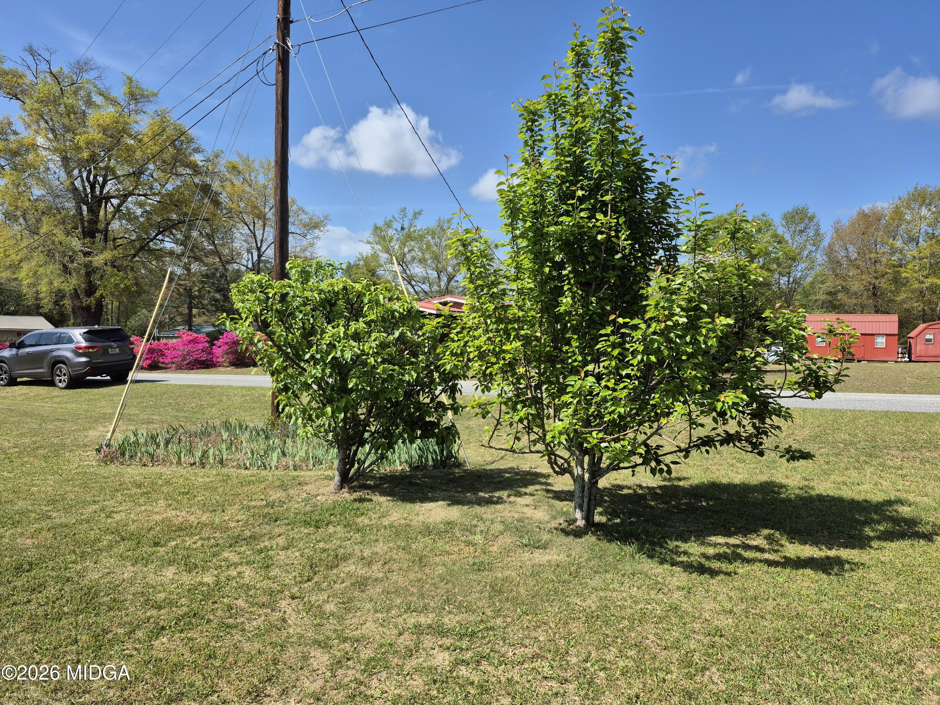 13 Marshall Street Butler, GA 31006 - Photo 6 of 22 20260331_114038