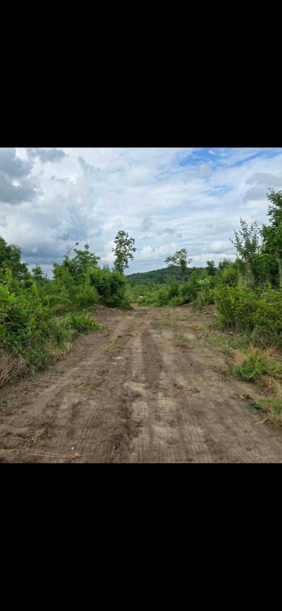 74-acs Bethel Road Valley Head, AL 35989 - Photo 17 of 19 bed96647072629c8fbf187b33fff5a43