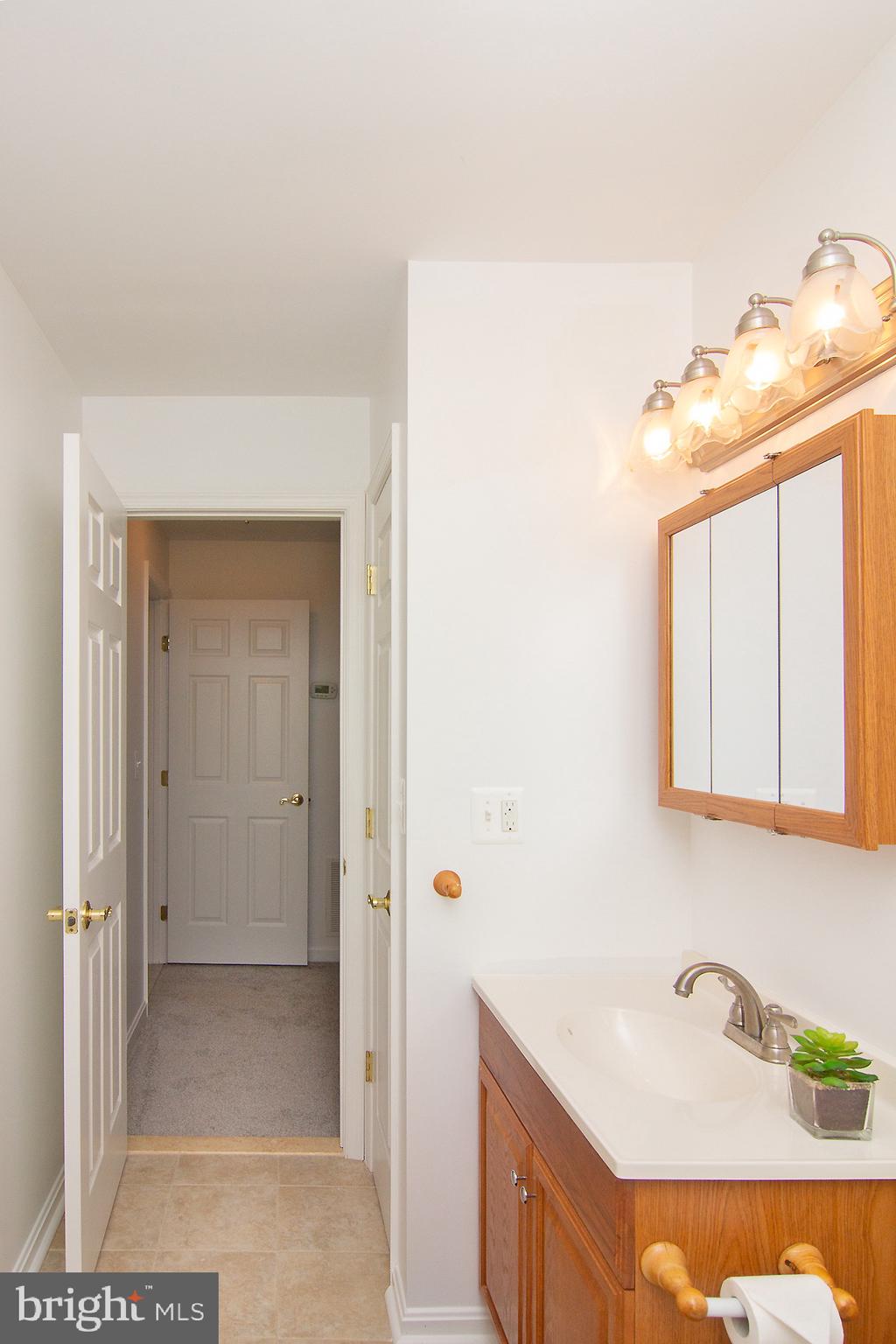 3808 Falls Road Manchester, MD 21102 - Photo 28 of 43 a bathroom with a sink and a mirror