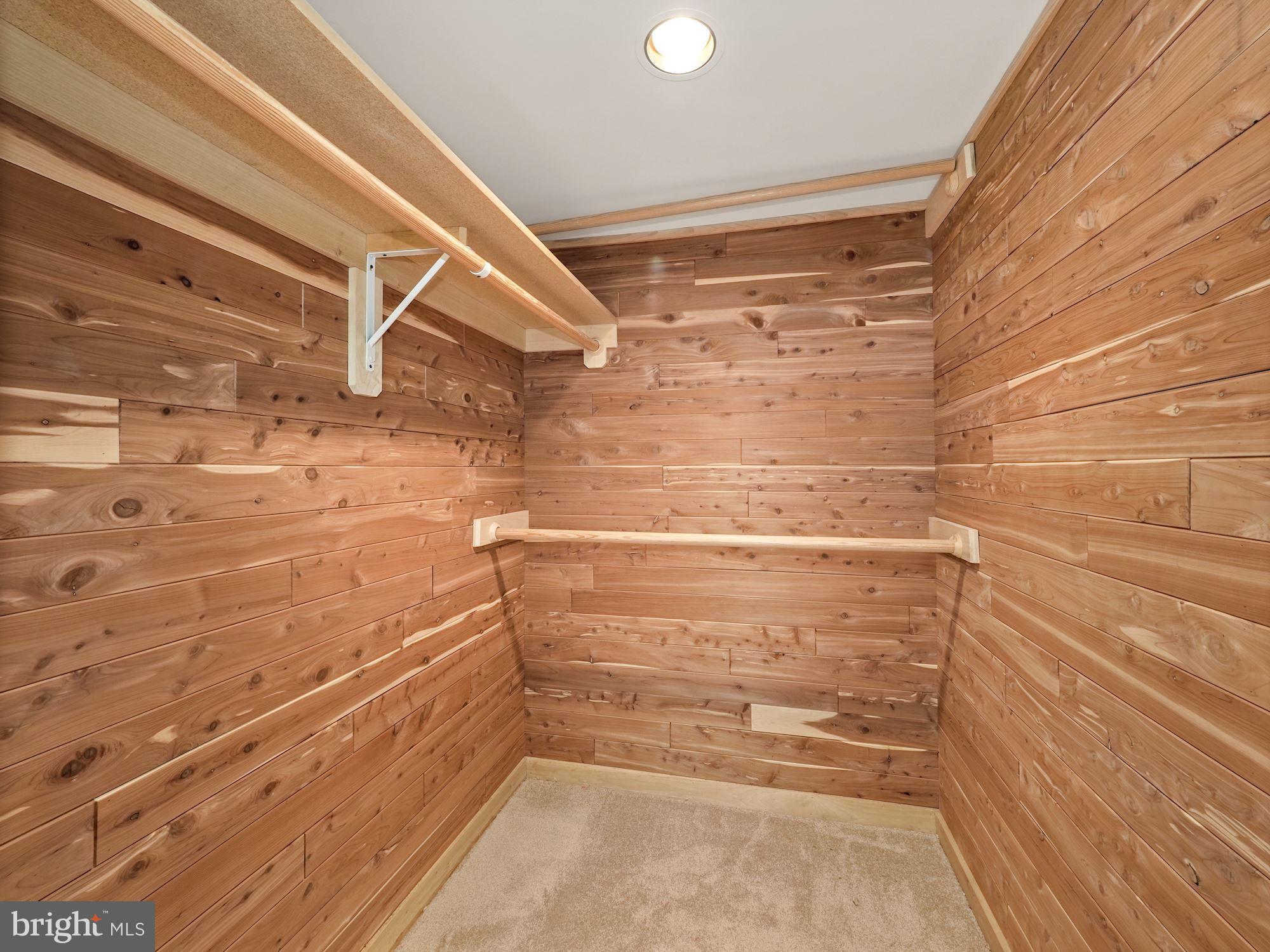 4223 Everett Street Kensington, MD 20895 - Photo 44 of 49 Large walk in cedar closet in lower level