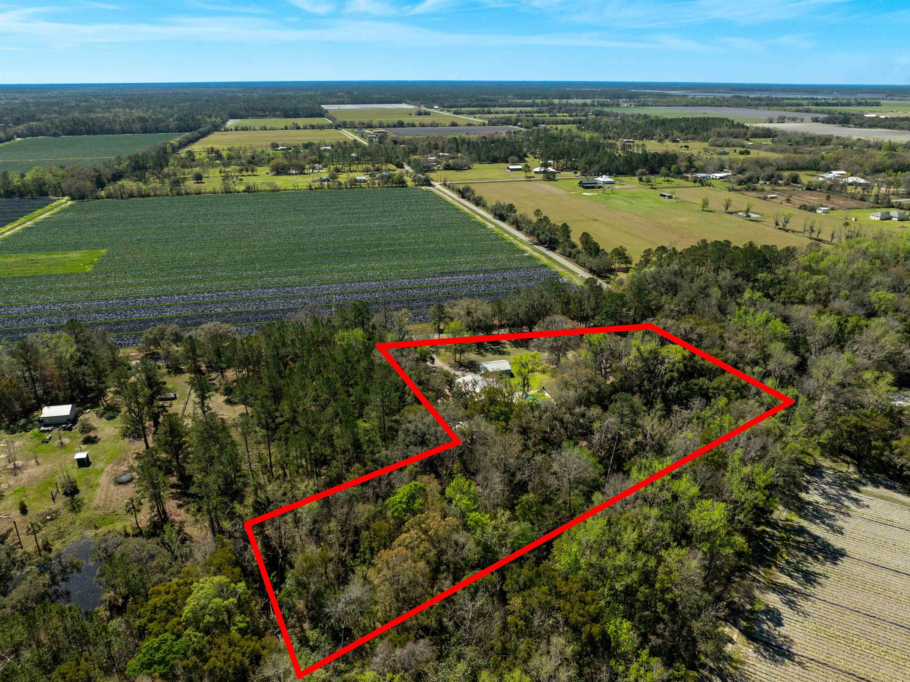 9355 Byrd Road Hastings, FL 32145 - Photo 50 of 59 an aerial view of a houses with an outdoor space
