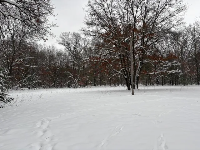 $256,000 | 9680 South Thornapple Avenue, Grant, MI 49327