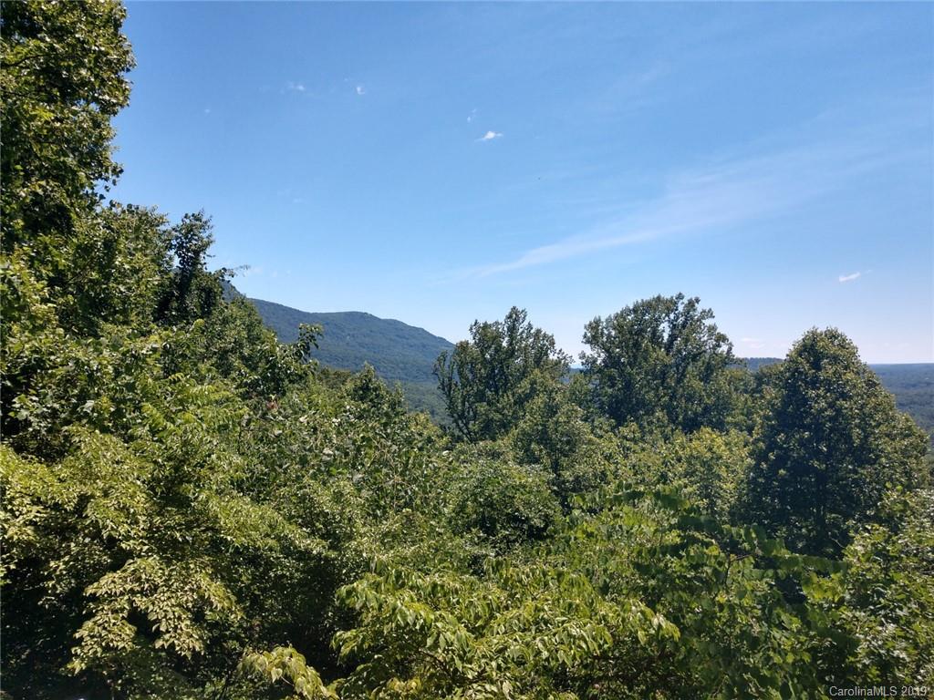269 Valley View Lane Tryon, NC 28782 - Photo 37 of 43 Gallery Image 37