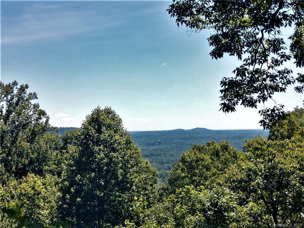 269 Valley View Lane Tryon, NC 28782 - Photo 38 of 43 Gallery Image 38