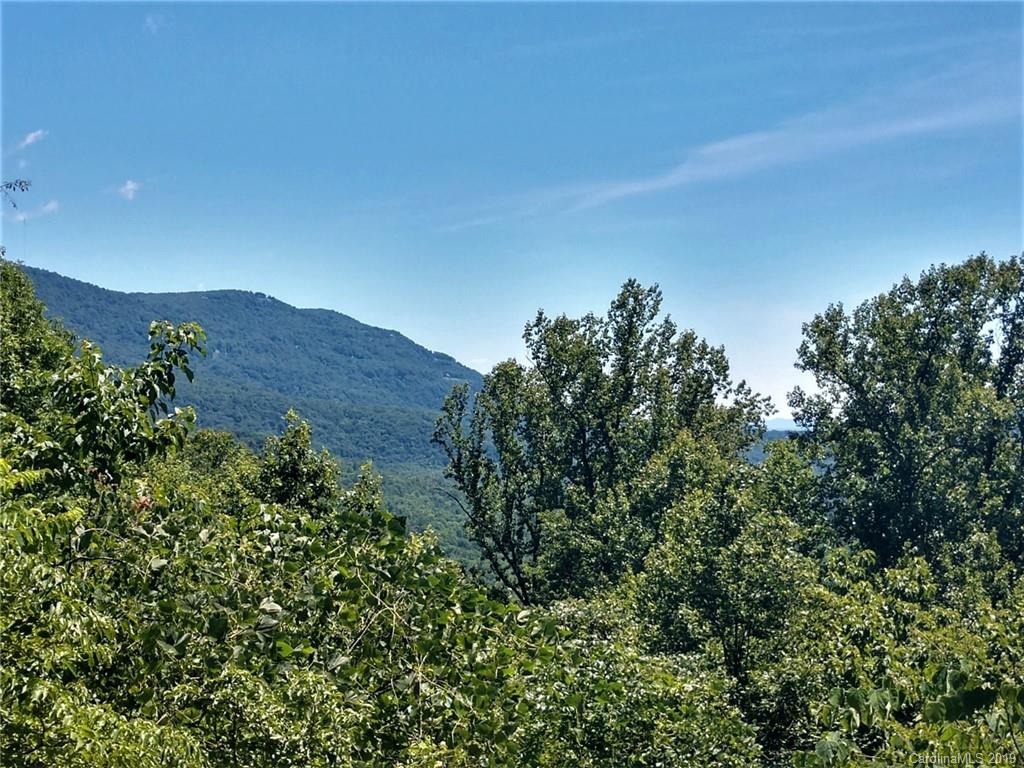 269 Valley View Lane Tryon, NC 28782 - Photo 39 of 43 Gallery Image 39