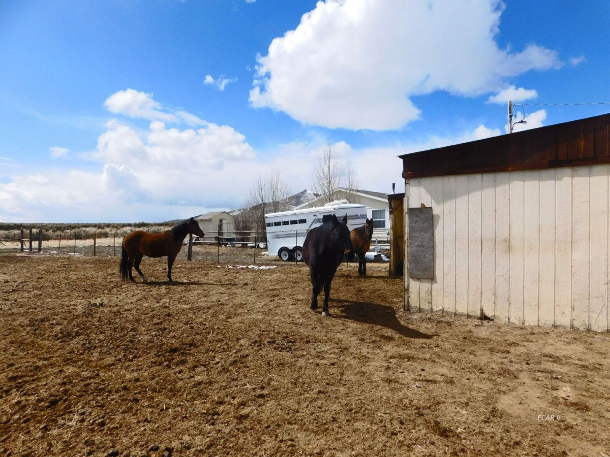 659 Bar Hl Rd Wells Wells, NV 89835 - Photo 35 of 43 Gallery Image 35