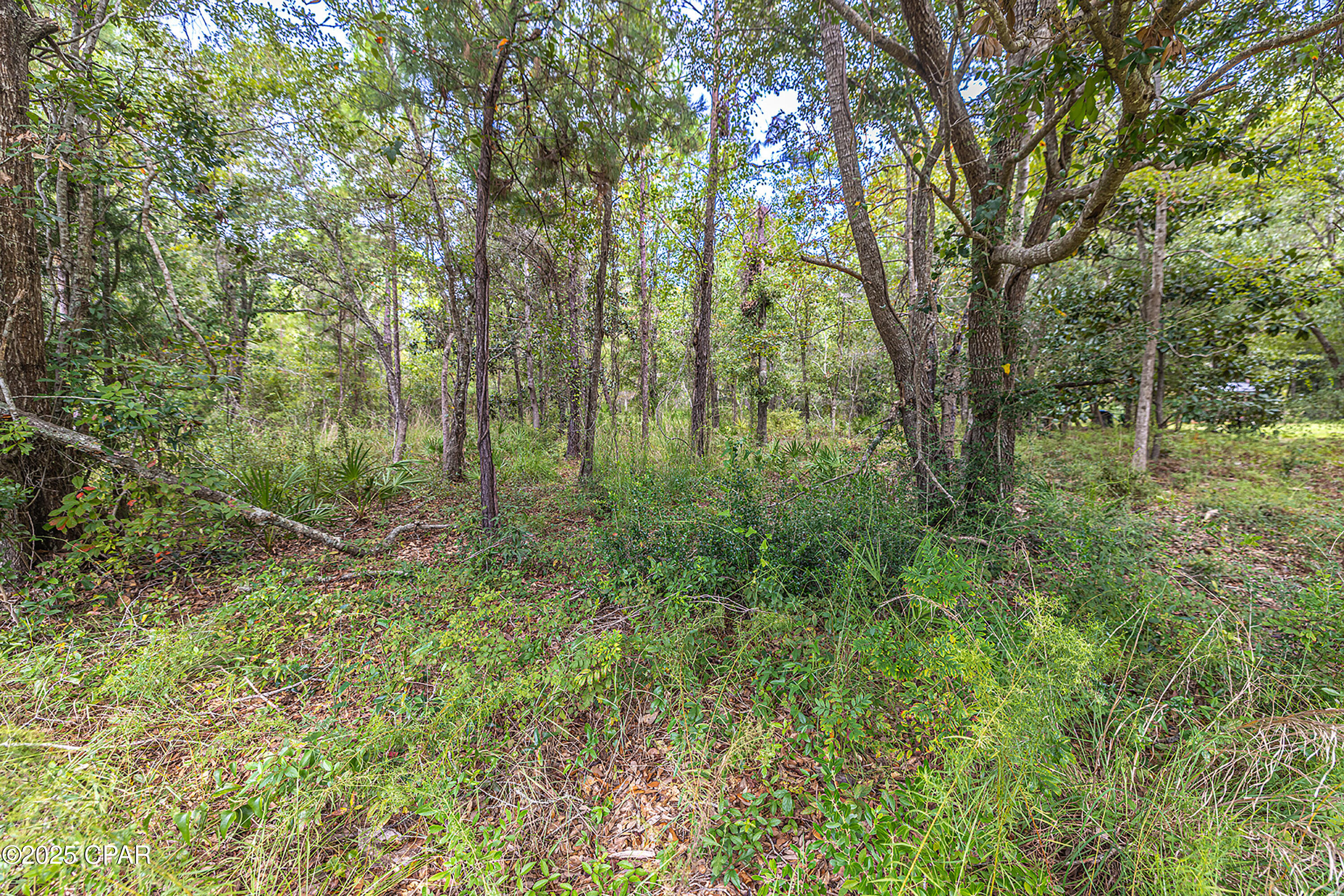 Lot 76 Harbour Trace Freeport, FL 32439 - Photo 7 of 19