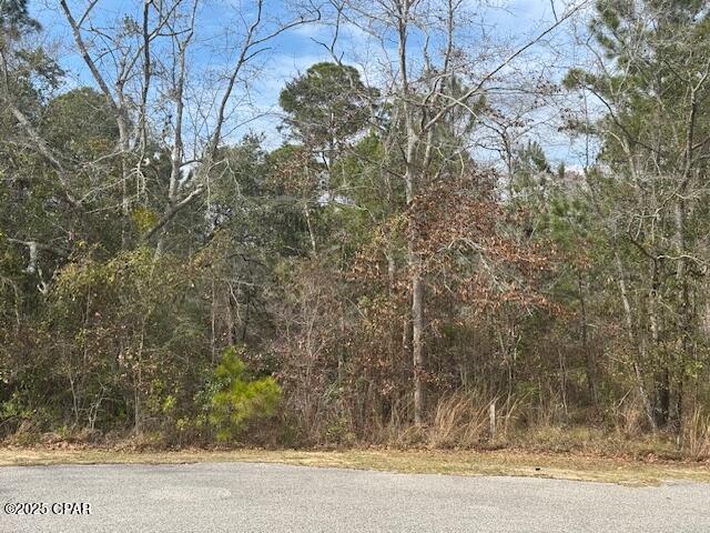 Lot 76 Harbour Trace Freeport, FL 32439 - Photo 8 of 19