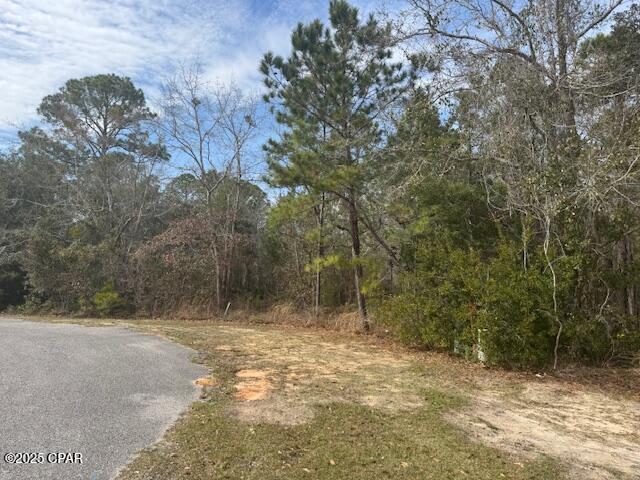 Lot 76 Harbour Trace Freeport, FL 32439 - Photo 9 of 19