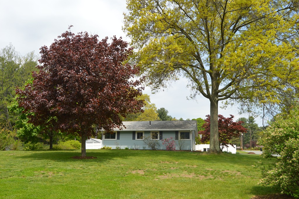 59 Joseph Road Framingham, MA 01701 - Photo 28 of 30 a view of a house with a big yard and large trees