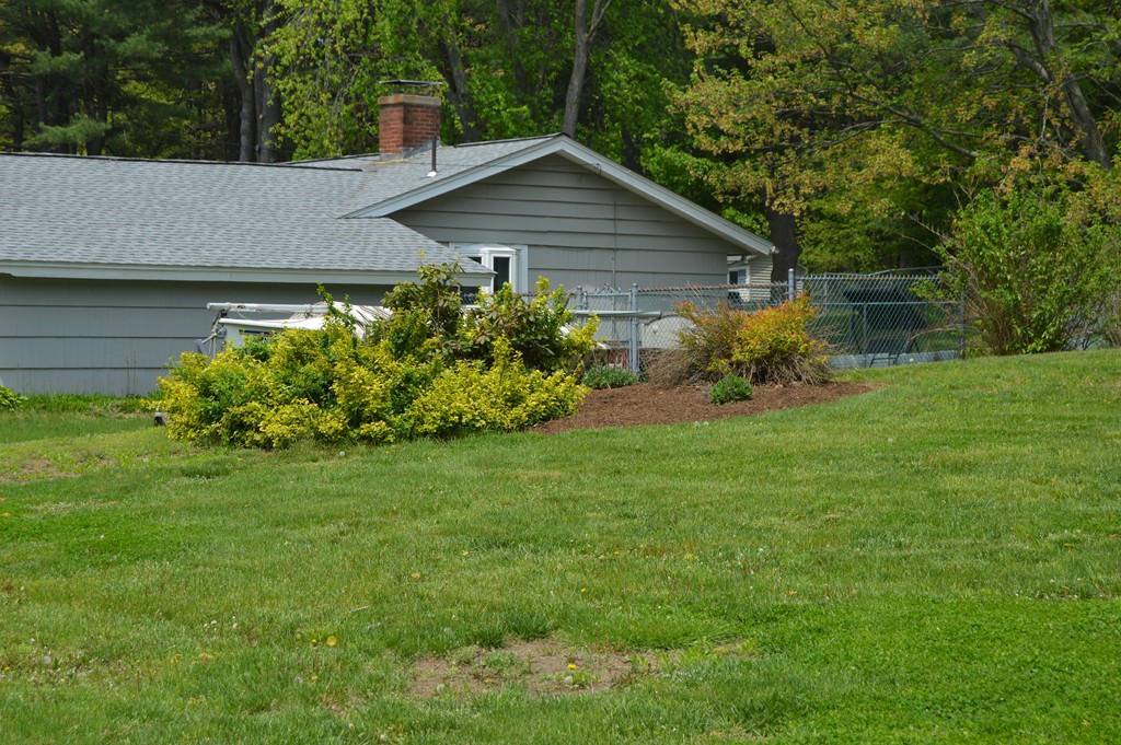 59 Joseph Road Framingham, MA 01701 - Photo 29 of 30 a backyard of a house with lots of green space