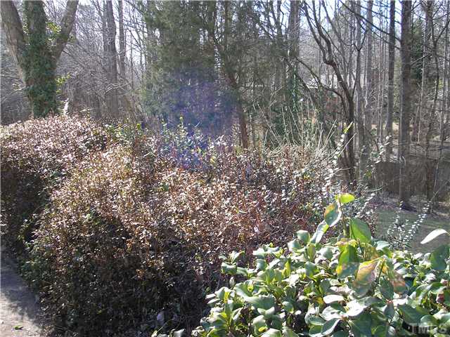 2654 Cottage Circle Raleigh, NC 27613 - Photo 14 of 17 a backyard of a house